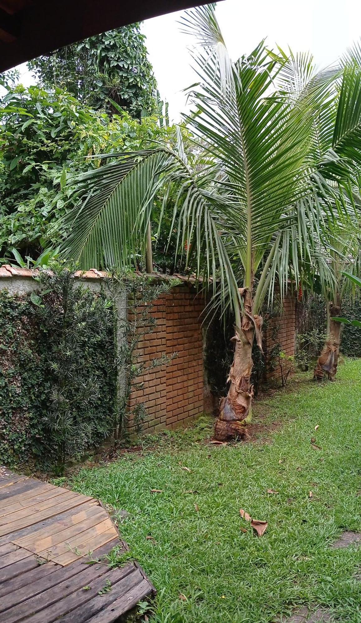 קמבורי Casa Dos Coqueiros Praia De Camburi, Condominio מראה חיצוני תמונה
